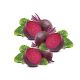 Red Beets