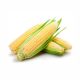 Sweet Corn