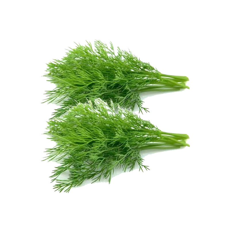 Dill Weed