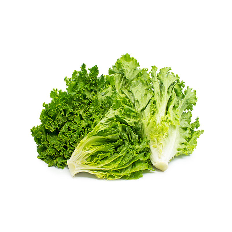 Green Leaf Lettuce