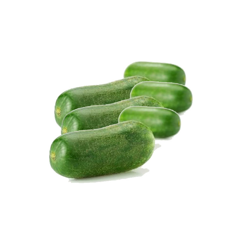 Marrow