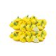 Patty Pan Summer Squash