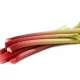 Rhubarb